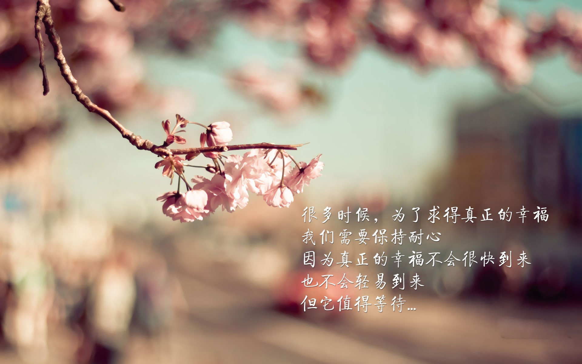 _老鹰队快攻之势犀利，取得精彩胜利_，老鹰队的比赛
