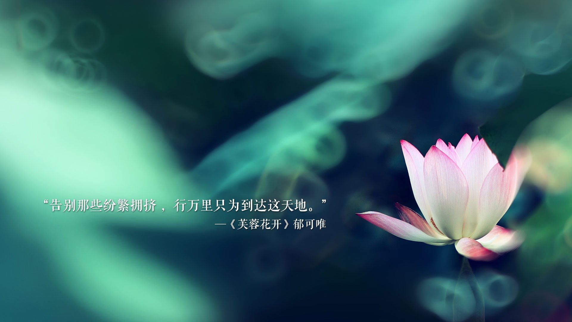 FB体育官方网站-《《英雄联盟》新版本上线，调整英雄“艾希”增添新玩法》，英雄联盟新功能