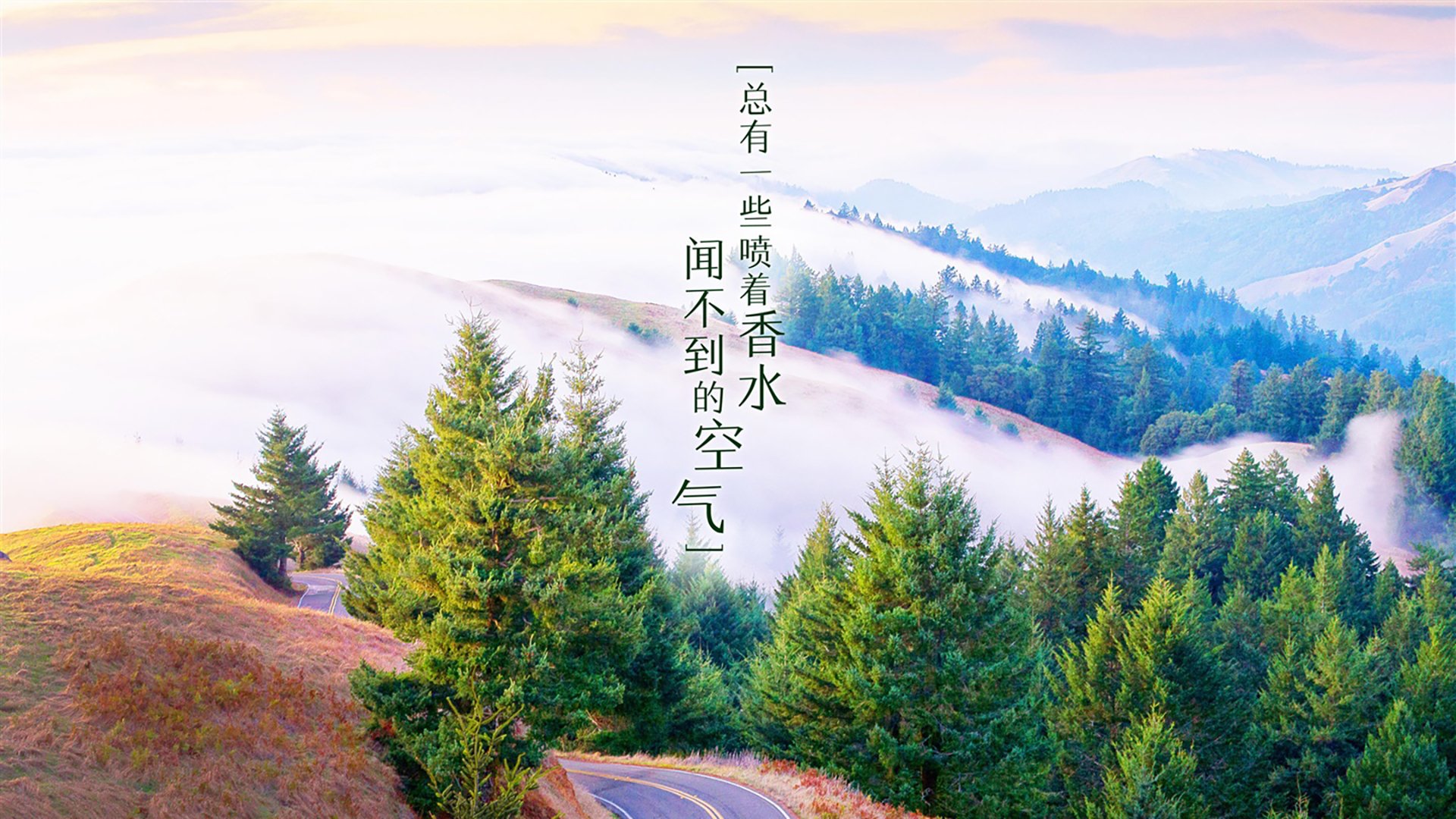 女子举重世界纪录被打破，哈萨克斯坦选手惊艳亮相，哈萨克斯坦女子举重中国人