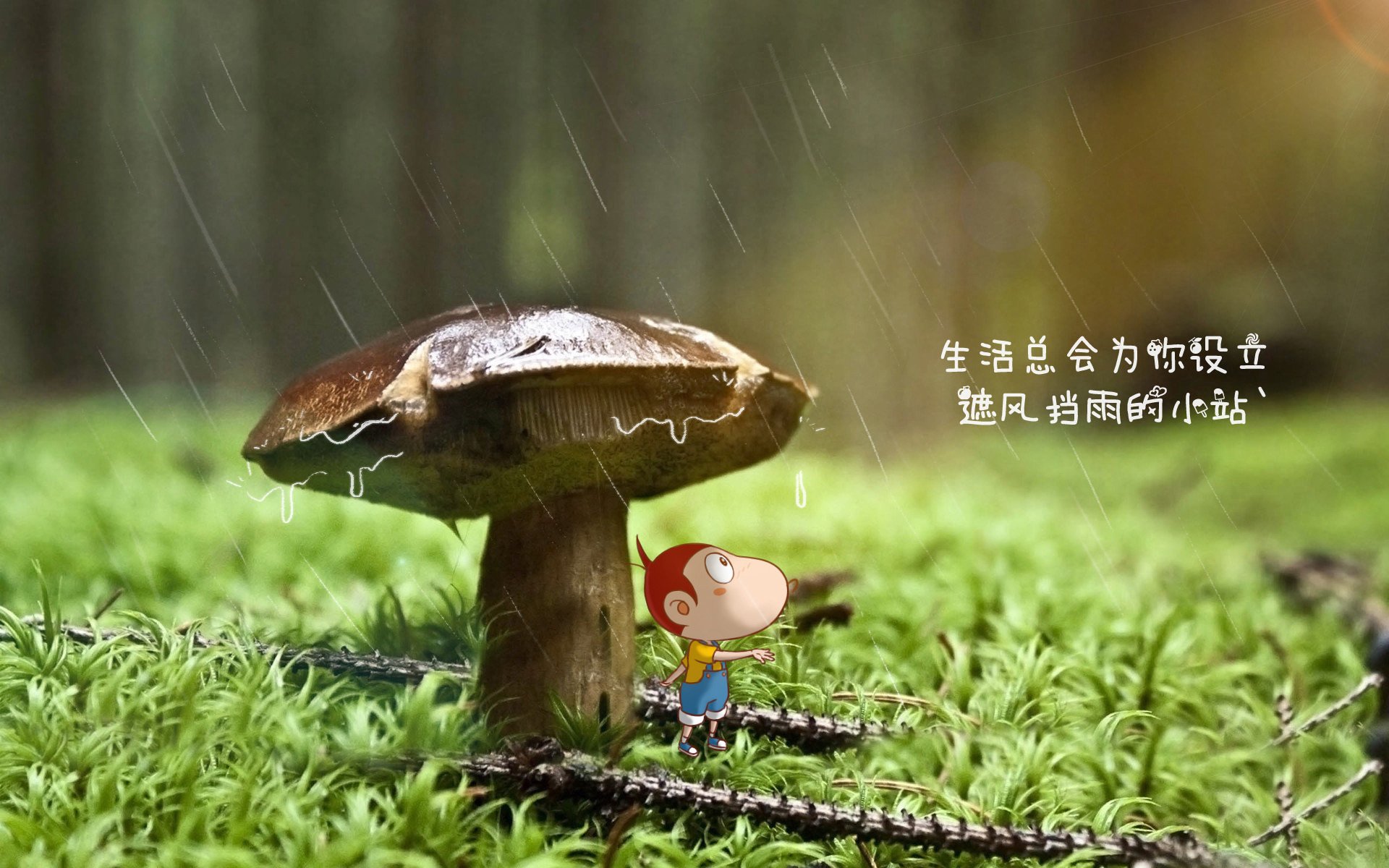 fb体育平台安全-西甲官方举办足球节，推动青少年普及足球运动，足球比赛西甲