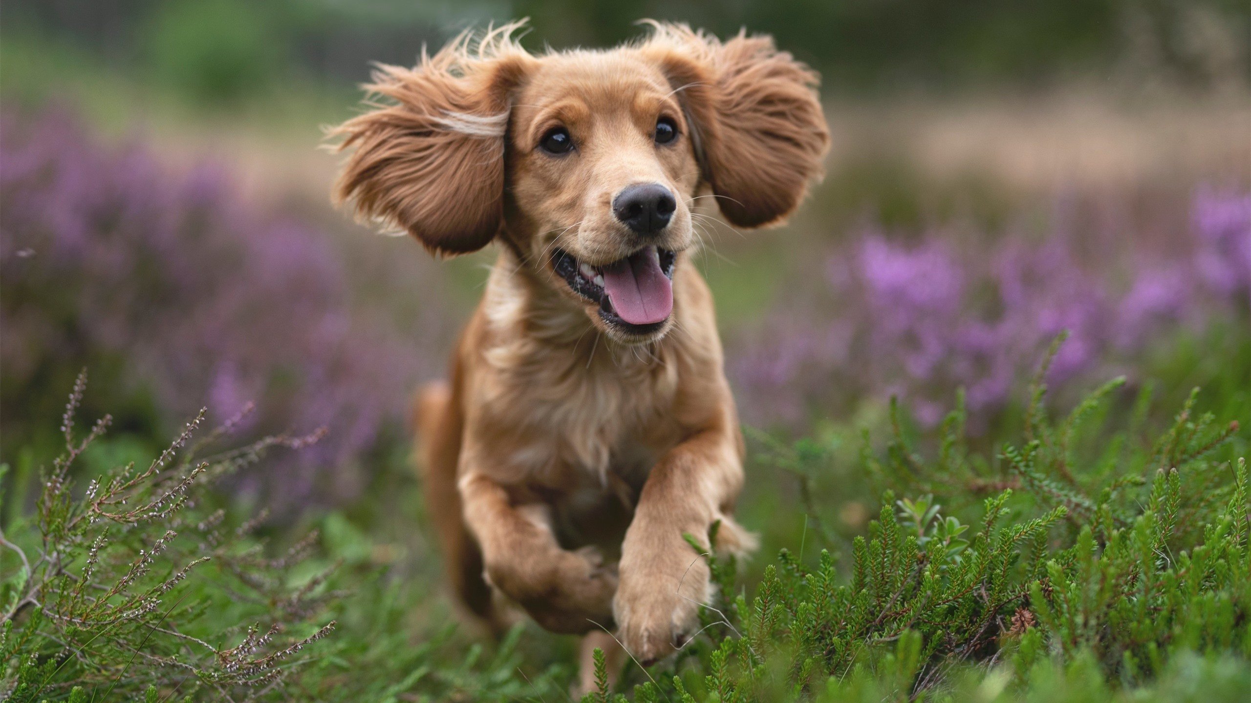 FB体育在线直播平台-双方交锋：团队配合默契，力争胜利，双方交锋是什么意思