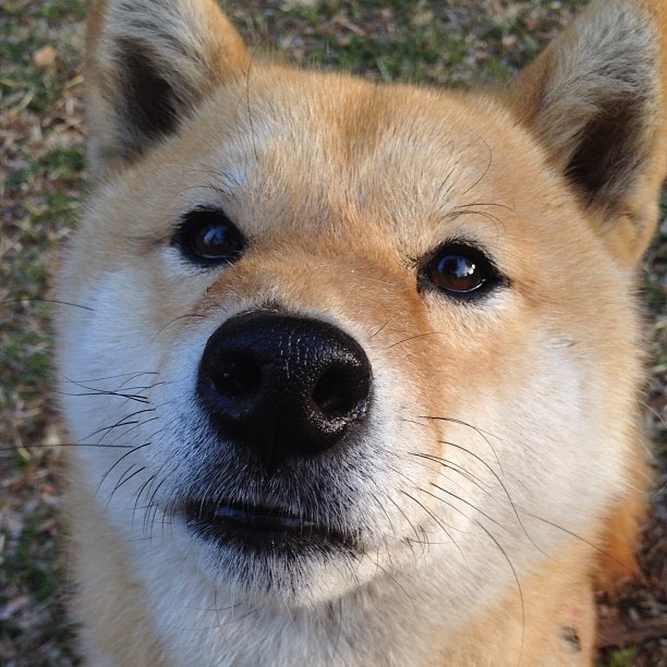 快船球队内线防守压力增大,快船的防守能力