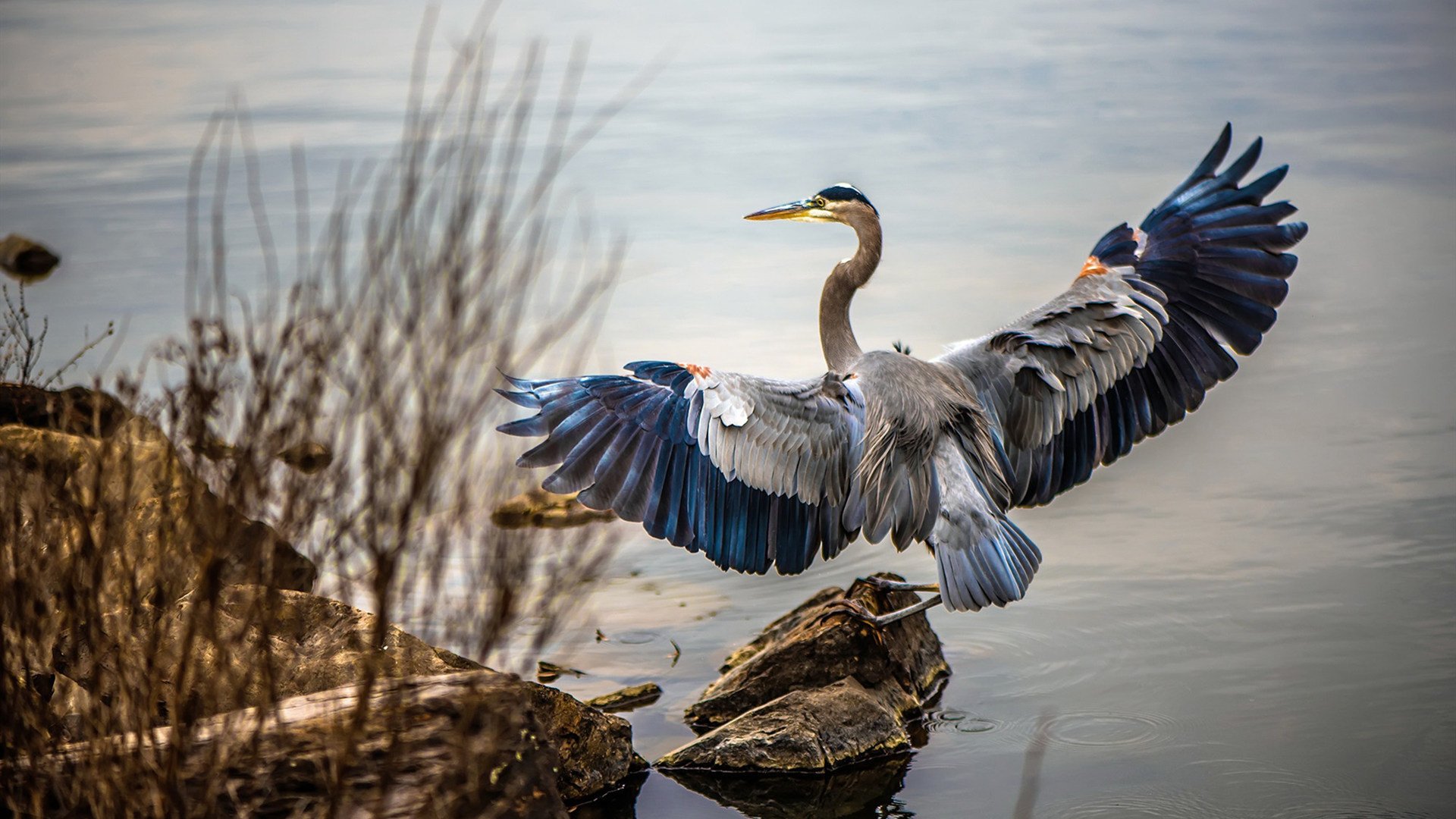 fb体育网址-意甲球员因在比赛中不当言行被禁赛，意甲球员因在比赛中不当言行被禁赛多久