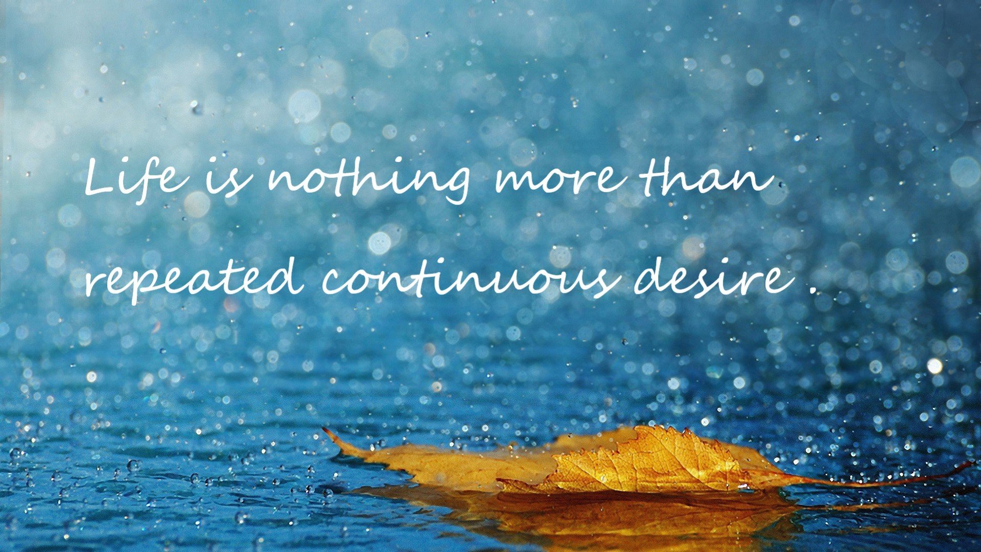 技惊四座,球员飞身扣篮让观众惊呼连连!,飞人扣篮是什么牌子