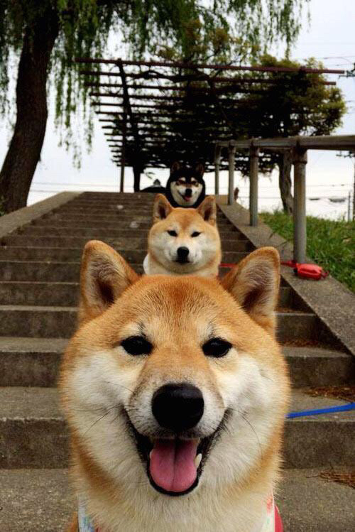 NBA球队粉丝忠诚度培养与营销策略,nba粉丝叫什么