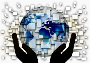 fb体育app官网-中国篮球青训体系课程体系优化方案，青训篮球课程教案大全