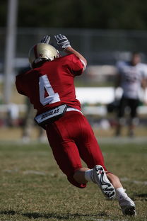 FB体育官网-中超球队传球链路密集度评分系统