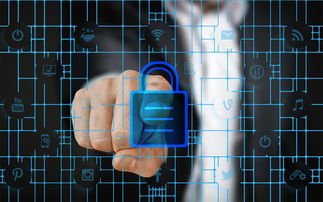 fb体育全站-体育特许经营管理制度构建与案例研究，体育行业特有职业培训试点单位