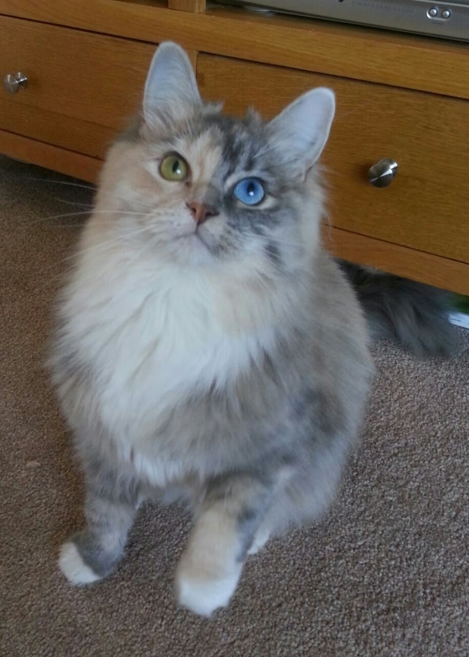 体育特许经营管理制度构建与案例研究,体育行业特有职业培训试点单位