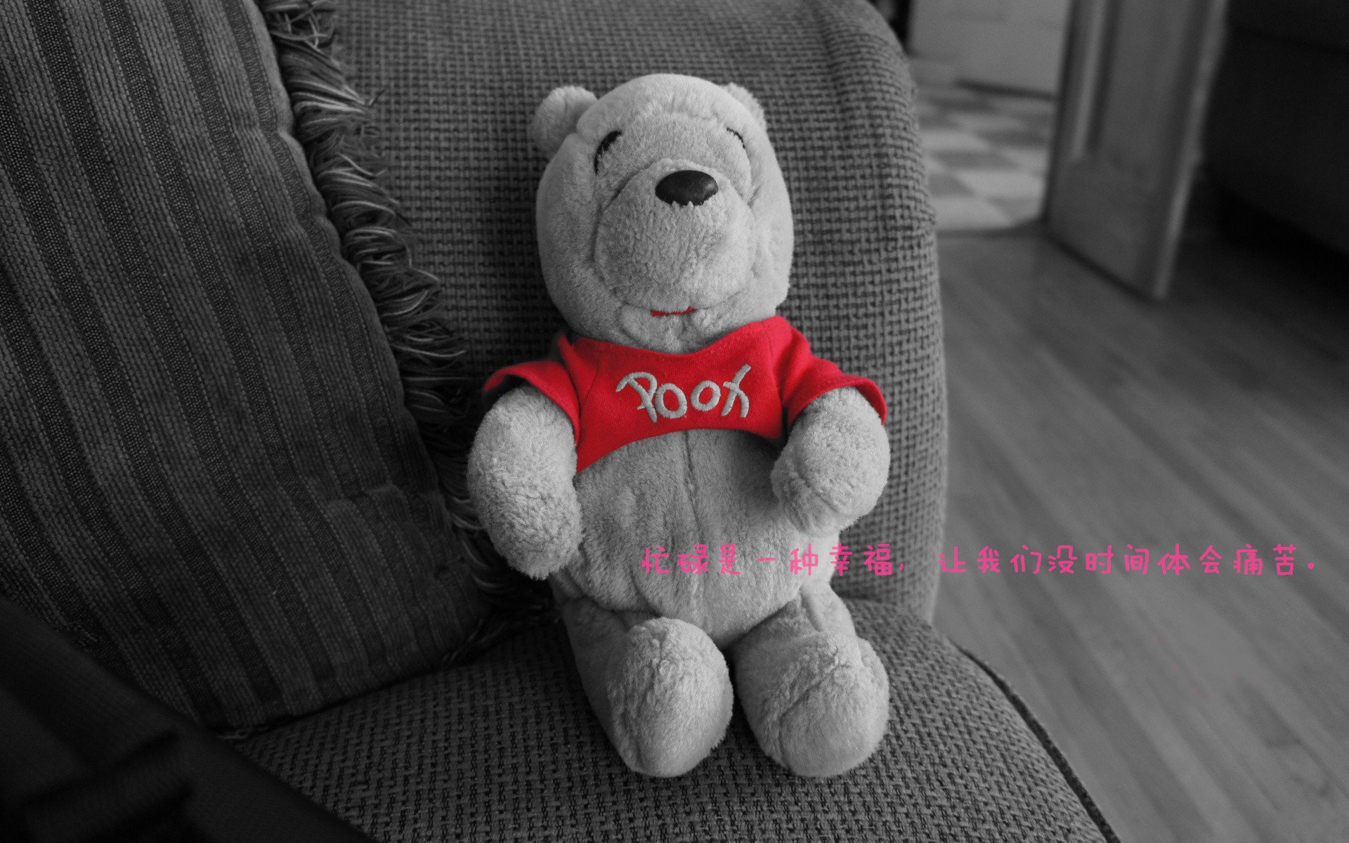 “简阳文体中心篮球赛:明星球员点燃观众激情”