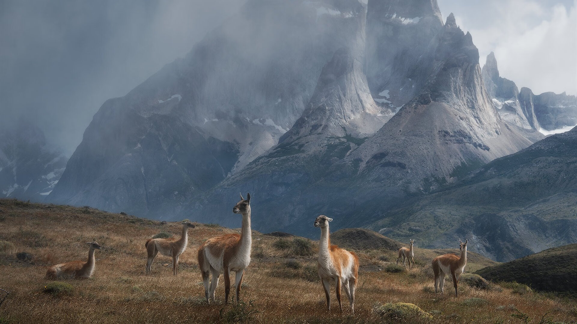 -中国男篮围绕核心组织战术 配合逐步流畅，中国男篮专用篮球