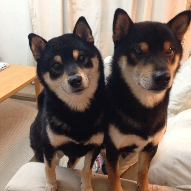 fb体育中国-体育新闻中心协助地方体育局开展内容数字化转型，体育数字化转型存在的问题