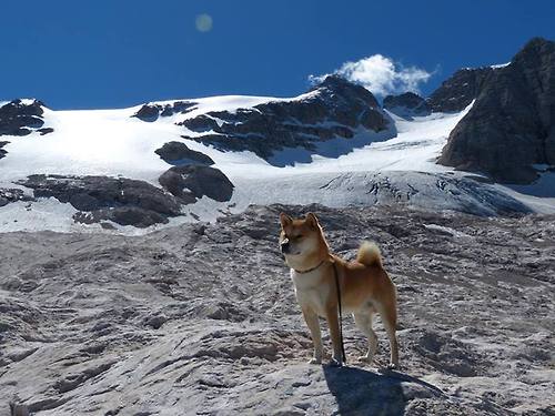 俱乐部战略目标未充分考虑本土化培养,俱乐部未来发展规划